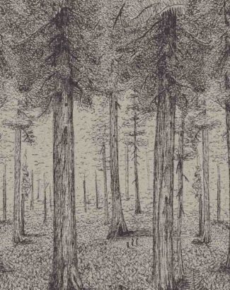 A thousand redwoods